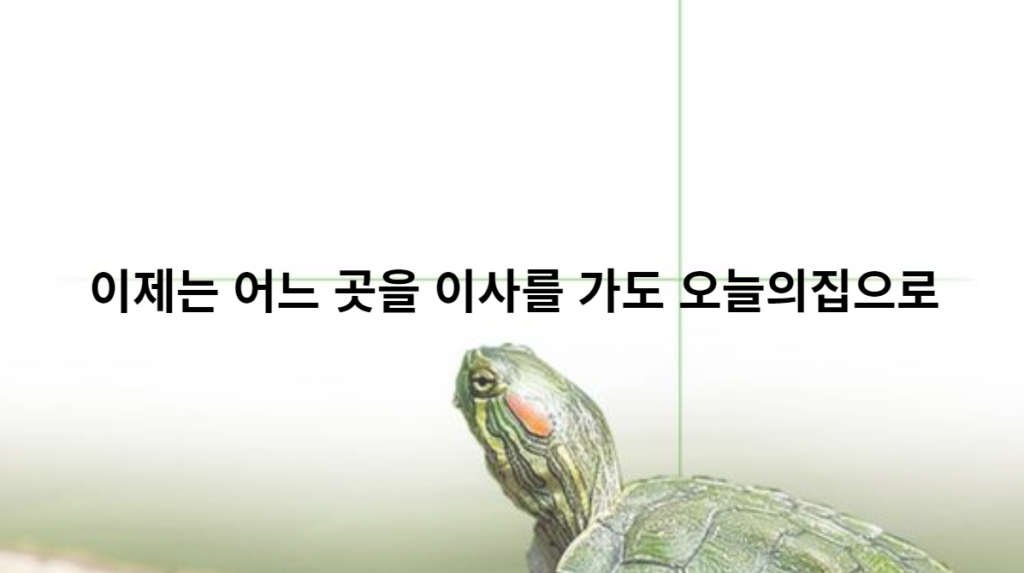 이사